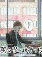 精品小说《大漠孤烟录》封面